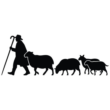 Shepherd with wooden staff leading herd of sheep silhouette for pastoral nativity scene.