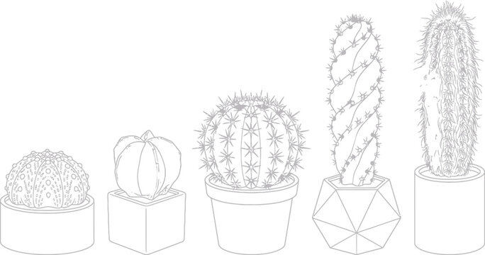 Set of botanical cactus line art illustrations in various ceramic pots