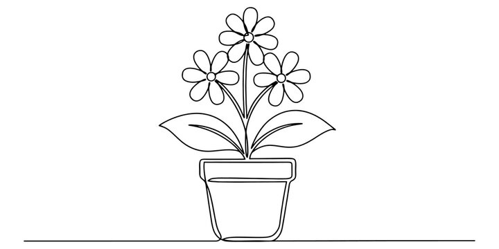 Continuous line drawing of potted daisy flowers with green leaves for floral design element or simple nature decoration.