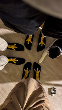 Matching Socks With Cat
