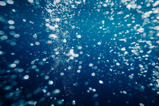 abstract air bubbles suspended in blue water