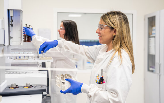 Laboratory Scientists Working With Samples and Equipment