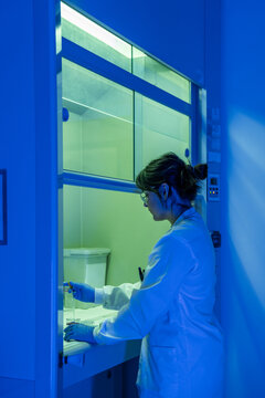 Scientist Works in a Lab With Blue Lighting During a Research Session