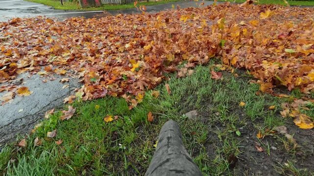 POV shot of leaf blower nozzle clearing orange maple leaves on wet grass in autumn