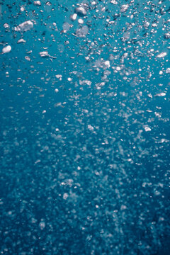 fine bubbles rising through turquoise seawater