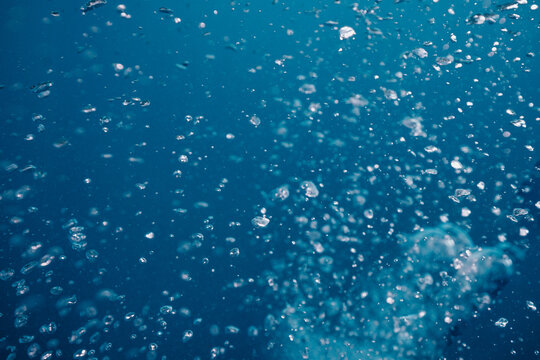 scattered bubbles floating in clear blue water