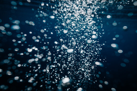 stream of bubbles rising through clear blue water