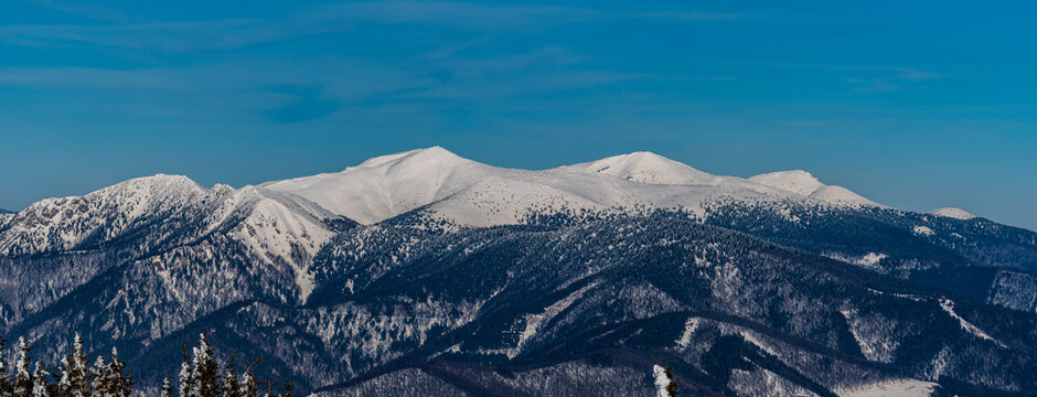 Krivanska Mala Fatra from Zazriva hill in Lucanska Mala Fatra mountains in Slovakia during winter