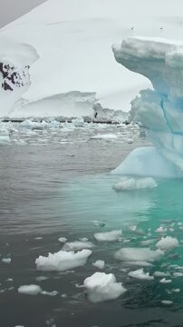 Vertical Video of Ice Fragments Floating Beside a Large Iceberg. Broken white ice spreads across blue-green water, showing varied frozen shapes, texture and gentle ripples.