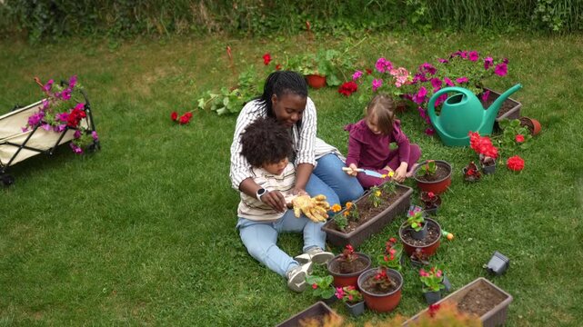Multiracial family planting flowers together in the backyard during a sunny day