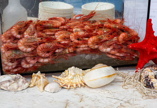 Market display of fresh red king prawns Gambia roja de Denia on ice with shells and a starfish