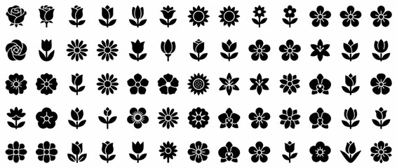 Obraz premium Floral decorative patterns with intricate designs. Ornamental botanical motifs isolated on transparent background. Tulip, Daisy, Rose, Lily, Fern, Clover, Ivy, Poppy, Sunflower, Orchid, Daffodil,.