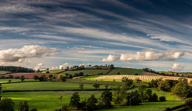 Red Soil Green Hills of Devon 2