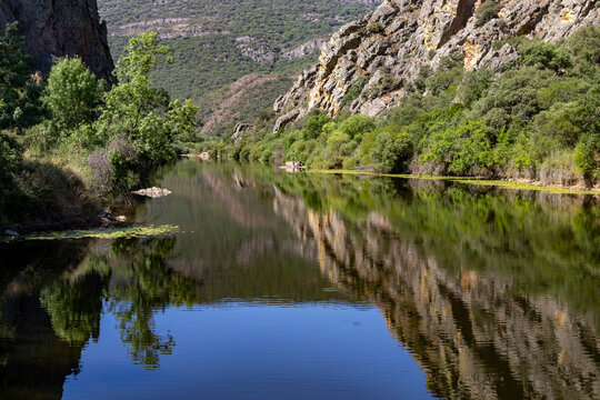 The Tabla de la Murciana area, on the River Guadiana, in Arroba de los Montes, Ciudad Real, Spain
