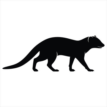 Black silhouette of a mongoose walking isolated on a plain surface for wildlife and animal design projects