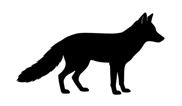 Red Fox Animal Standing Side Profile Black and White Silhouette Vector Illustration Isolated on White Background
