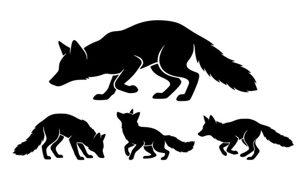 Red Fox Hunting and Alert Animal Silhouette Vector with Crouching Sniffing and Wildlife Poses in Black and White