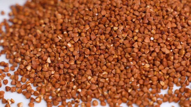 Raw buckwheat grains pouring and falling on a white table