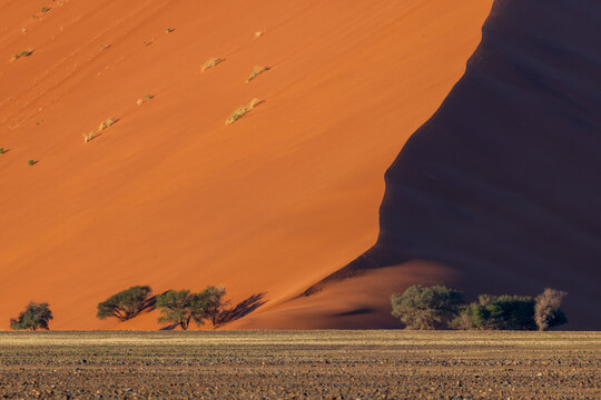 Early morning at the Namib Naukluft National Park dunes, Namibia, Africa