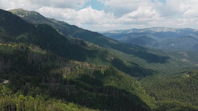 Long Forest Valley Reaching Toward Distant Peaks