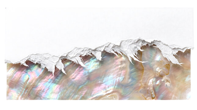 Iridescent abalone shell graphic with frost texture for winter holiday design