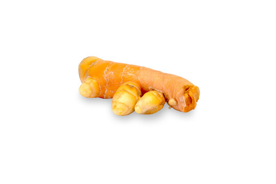Fresh whole turmeric root on white background