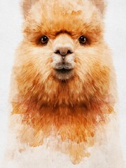 Fototapeta premium Portrait of a fluffy brown alpaca with watercolor textures