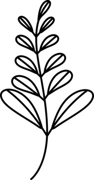 Leaf line art drawing