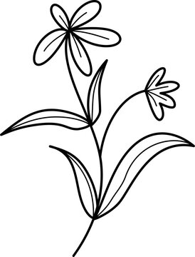 simple floral sketch