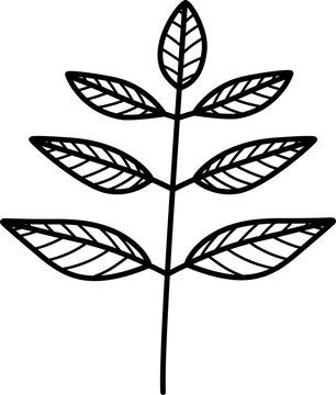 Leaf branch line art