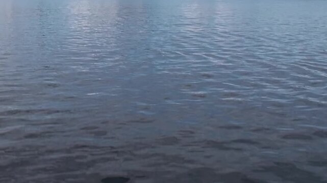Calm gray water and gentle surface ripples fill a minimal cold seascape. The broader composition includes surface texture and natural light, keeping surface texture and scale clearly readable.