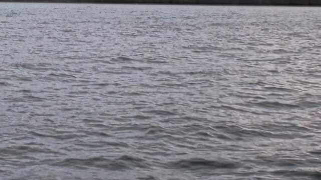 Calm gray water and gentle surface ripples fill a minimal cold seascape. The frame also shows overcast light, adding visible texture and spatial context to the scene.