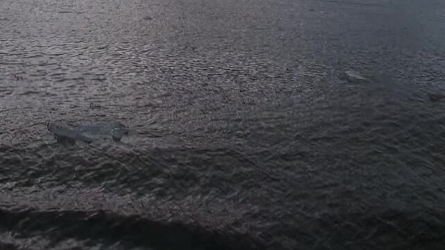 Arctic Ocean Ship Navigating Remote Polar Waters Under Polar Sky. Small ice floes and cold open water remain visible ahead of the vessel under a pale polar sky.
