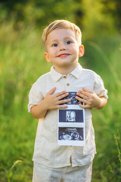 Smiling little boy holding ultrasound photos for family pregnancy announcement in sunny green field