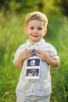 Young boy holding ultrasound photos in a sunlit field for a family pregnancy announcement and sibling joy