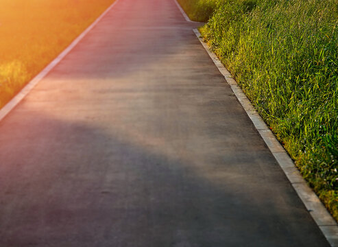 Green illuminated park sidewalk background