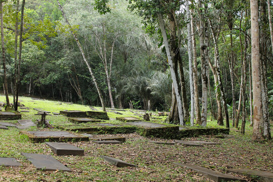 Horizontal flat grave slabs laid directly on the ground according to Sephardic Jewish tradition, marking resting places at the historic Jewish cemetery in Jodensavanne