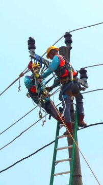 Two electricians work high on a power pole. They use ladders and safety gear while repairing lines. The sky is clear and blue behind them. They focus on their task, showing teamwork
