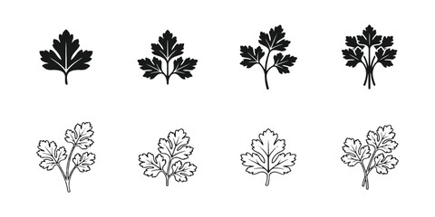 Fototapeta premium Fresh parsley leaf line art and silhouette icon set vector illustration isolated on white background.