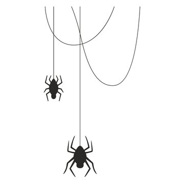 halloween vector icon Two black spiders hanging from silky threads illustration