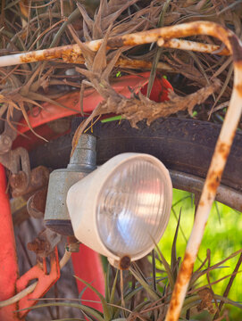 Close-up of Old Rusty Bicycle with Headlight and Tillandsia Air Plants Growing on Frame