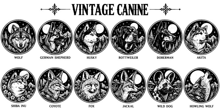 Wolves, Dog Breeds and Wild Canine Engraving