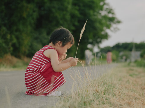 Candid photo of a toddler girl in a red dress crouching and playing with wheat in the countryside of Pays de la Loire, France.