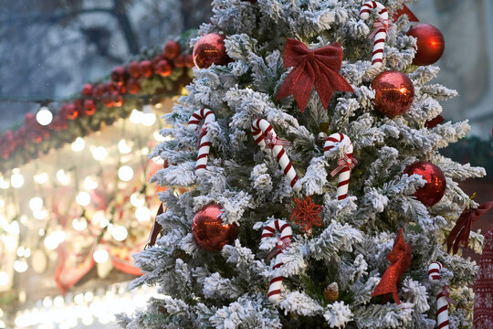 Christmas Tree Detail with Red Baubles and Candy Canes