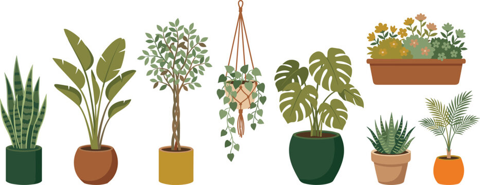 Potted houseplant collection featuring monstera, snake plant, hanging macrame, palm, and flowering window box designs isolated on white background