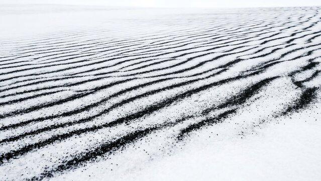 Minimalist Geometry of Black Volcanic Tephra Ash Ripples on White Snow