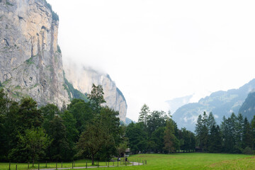 Steep rock cliffs rise above a green alpine valley in Lauterbrunnen, Switzerland. Low clouds and mist drift over pine forests along the scenic mountain meadow. © dsbedarieva