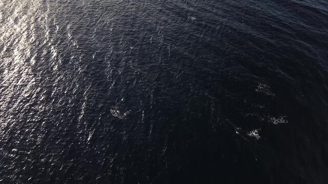 Aerial top-down view of the ocean at daylight, capturing golden sun reflections shimmering across small rolling waves and creating a beautiful textured seascape.