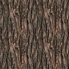 Obraz premium Dark Walnut Tree Bark Natural Surface Texture