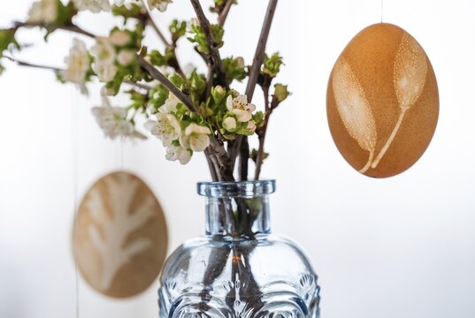 Blown out Easter eggs, in the background a light blue vase with blossoming branches